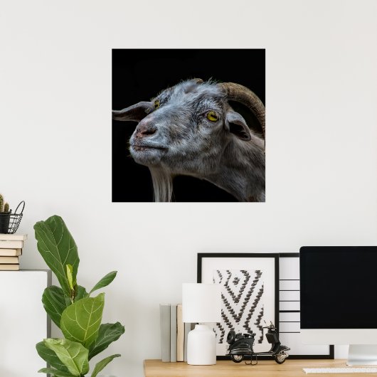 Billy Ziege auf schwarzem Hintergrund Poster (Heimbüro)
