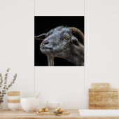 Billy Ziege auf schwarzem Hintergrund Poster (Küche)