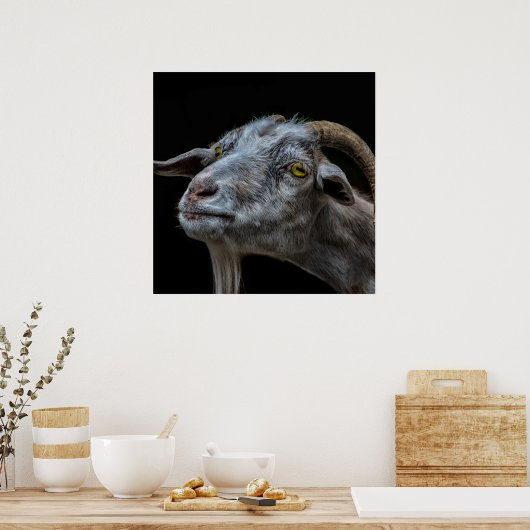 Billy Ziege auf schwarzem Hintergrund Poster (Küche)