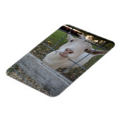 Billy Ziege Magnet (Linke Seite)