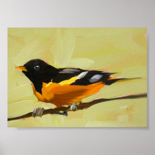 Biltimore oriole druckt 5 x 7 Zoll-Scharfschütze Poster