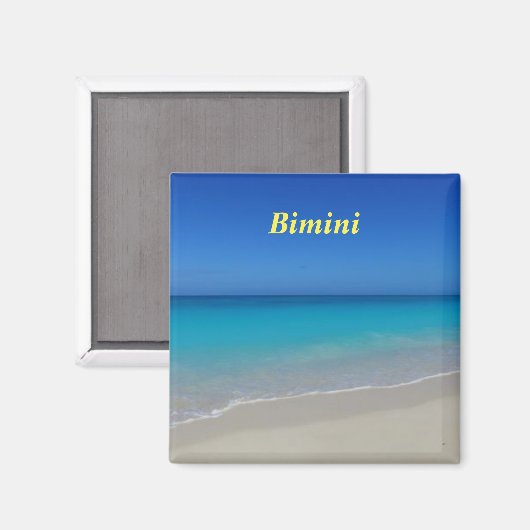 Bimini-Magnet Magnet (Vorderseite/Rückseite)