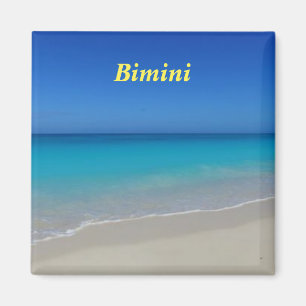 Bimini-Magnet Magnet