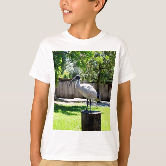 Bin Chicken (ibis) auf einem Baumstumpf, T-Shirt (Vorderseite)