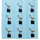 Bin Chicken, (Ibis) Ölfarbe, Duschvorhang (Vorderseite)