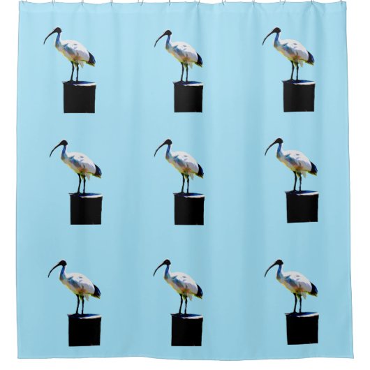 Bin Chicken, (Ibis) Ölfarbe, Duschvorhang (Vorderseite)