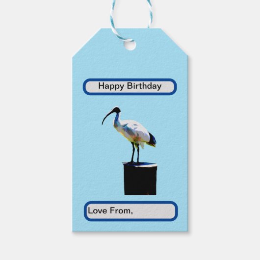Bin Chicken, (Ibis) Ölfarbe, Geschenkanhänger (Vorderseite)