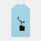Bin Chicken, (Ibis) Ölfarbe, Geschenkanhänger (Rückseite)