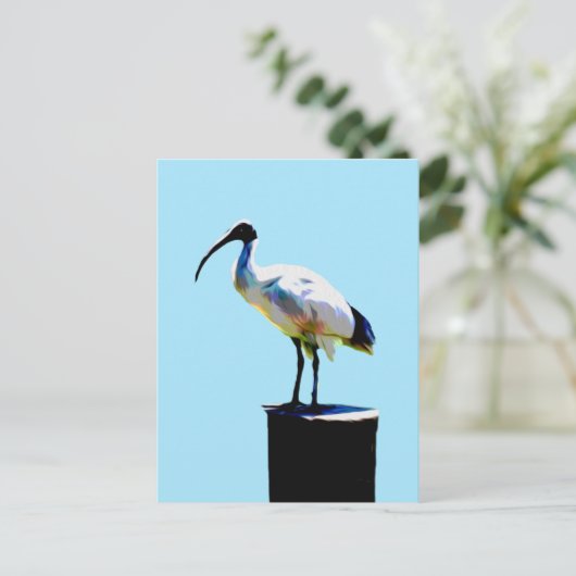 Bin Chicken, (Ibis) Ölfarbe, Postkarte (Stehend Vorderseite)