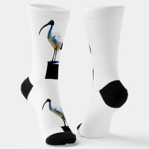 Bin Chicken Oil Paint, Crew Socken