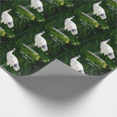Bin Chicken Pfftt (Ibis) Geschenkpapier (Ecke)
