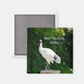 Bin Chicken Pfftt (Ibis) Magnet (Vorderseite/Rückseite)