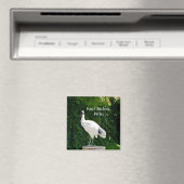 Bin Chicken Pfftt (Ibis) Magnet (In Situ (Geschirrspüler))