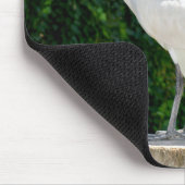 Bin Chicken Pfftt (Ibis) Mousepad (Ecke)