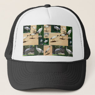 Bin Hühner Chronicles: FotoCollage der Ibis Truckerkappe