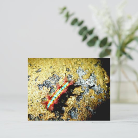 Bin ich anders als du? postkarte (Stehend Vorderseite)