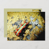 Bin ich anders als du? postkarte (Vorne/Hinten)