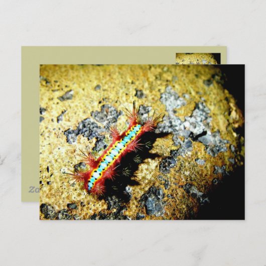 Bin ich anders als du? postkarte (Vorne/Hinten)