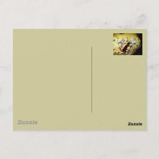 Bin ich anders als du? postkarte (Rückseite)