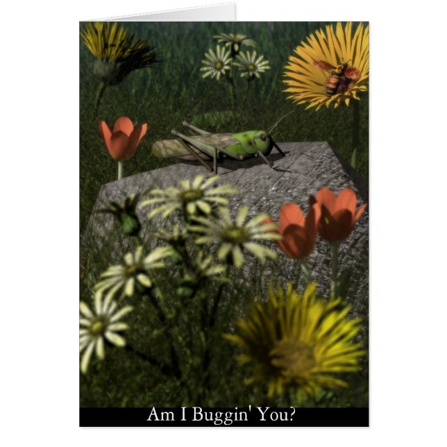 Bin ich Buggin Sie? (Vorne)