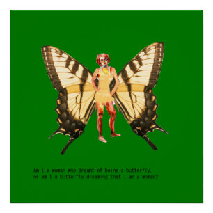 Bin ich eine Frau, die davon träumte, ein Schmette Poster