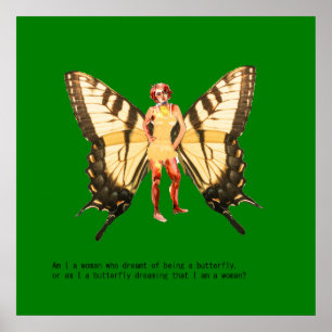 Bin ich eine Frau, die davon träumte, ein Schmette Poster