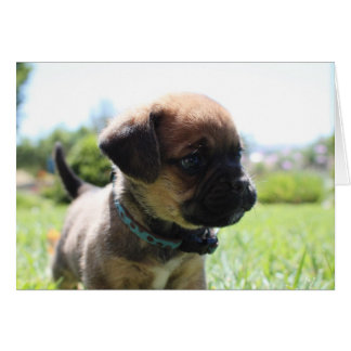 Bin ich nicht niedlich?