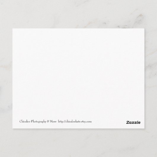 Bin ich nicht niedlich? postkarte (Rückseite)