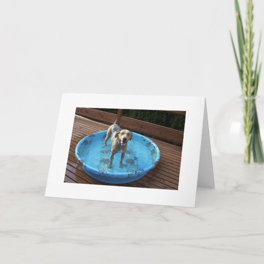 Bin ich schön, oder was? dankeskarte (Vorderseite)