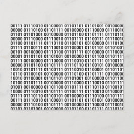 binär: I Liebe zum Programm