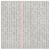 Binärer Code-Computeringenieur