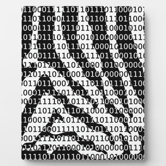 Binary-Code für Schwarz und Weiß Fotoplatte (Vorderseite)