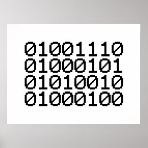 BINARY NERD POSTER