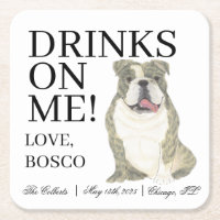 Bindle und White English Bulldog Hochzeit