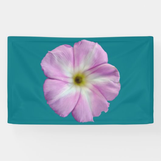 Bindweed #1 banner (Horizontal)