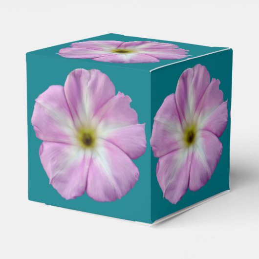 Bindweed #1 geschenkschachtel (Rückseite)