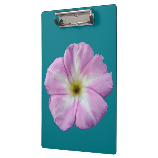 Bindweed #1 klemmbrett (Links)