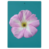 Bindweed #1 klemmbrett (Rückseite)