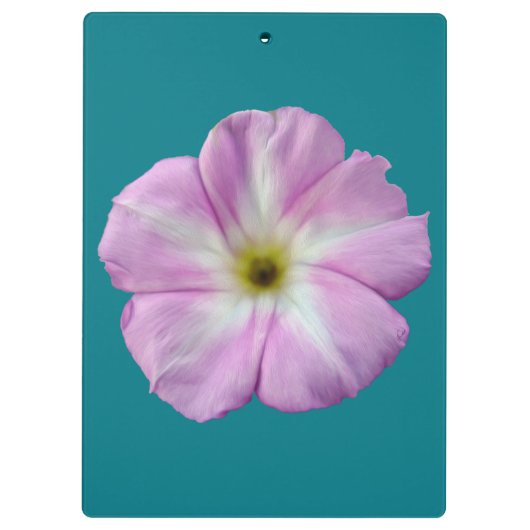 Bindweed #1 klemmbrett (Rückseite)