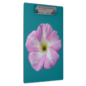 Bindweed #1 klemmbrett (Rechts)