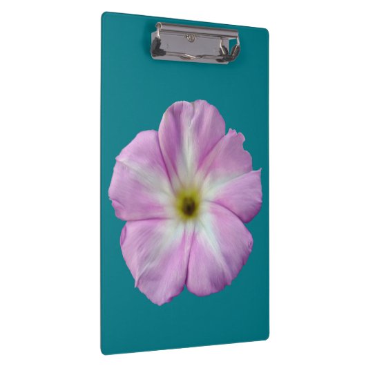 Bindweed #1 klemmbrett (Rechts)