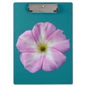 Bindweed #1 klemmbrett (Vorderseite)