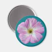 Bindweed #1 magnet (Vorderseite/Rückseite)
