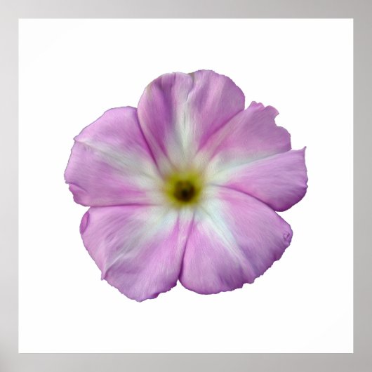 Bindweed #1 poster (Vorne)