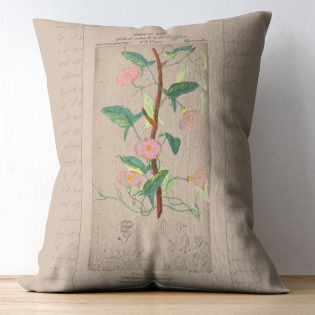 Bindweed Dekokissen (Von Creator hochgeladen)