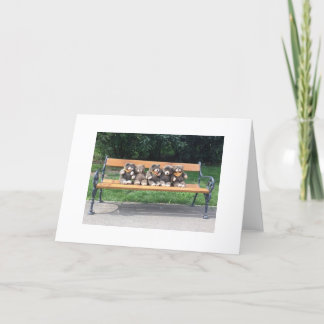 Bingo Bear Greeting Card Karte