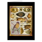 Bingo Bird (Vorne)