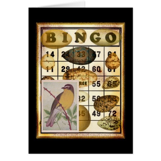 Bingo Bird (Vorne)