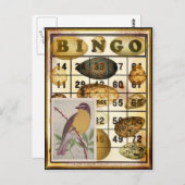 Bingo Bird Postkarte (Vorne/Hinten)