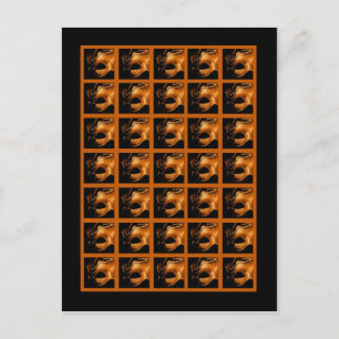 Bingo Card Markers Sweet 16 Orange Black Postkarte